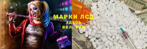 твердый Мегион