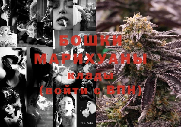 прущие грибы Белая Холуница