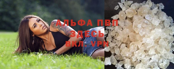 ECSTASY Майский
